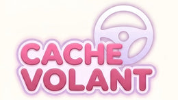 Cache Volant